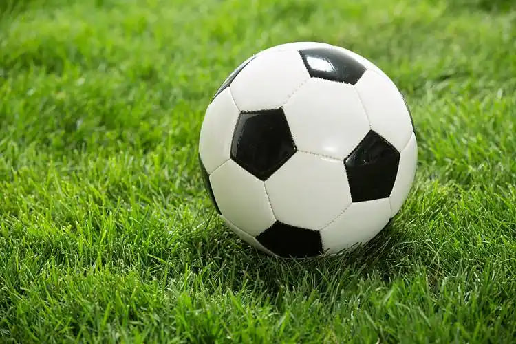 数据分析师使用澳客app进行专业研究